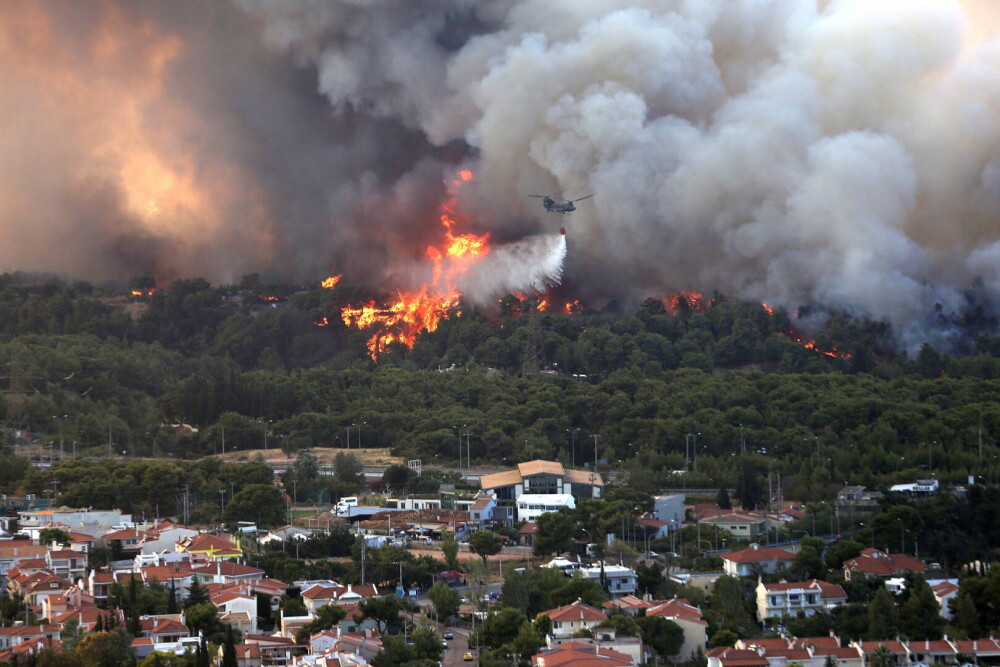 Teroare în Atena. Mai multe case au ars, două suburbii au fost evacuate. Valul de căldură a atins cote maxime - Imaginea 6