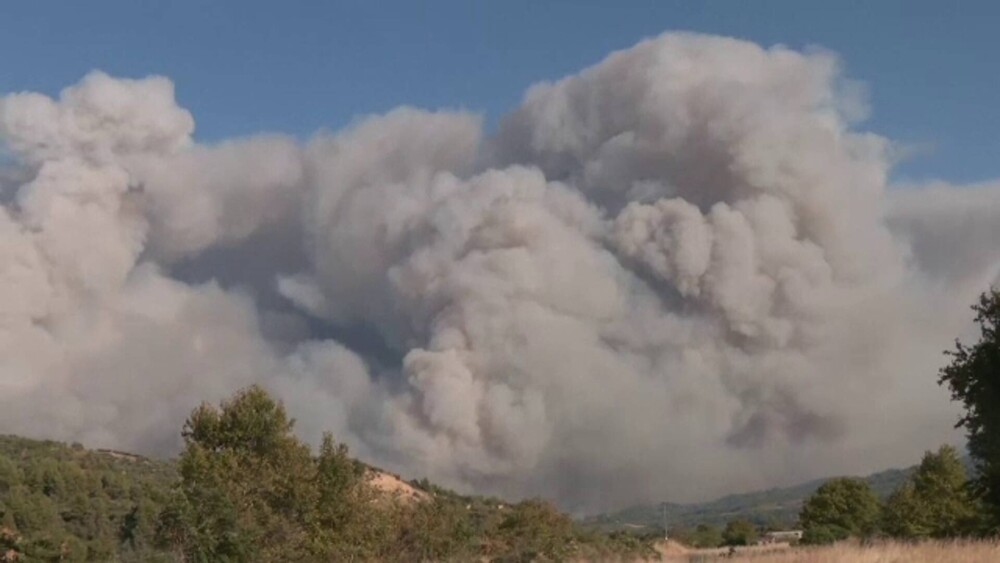Insula Evia din Grecia, cuprinsă de flăcări uriașe. Sunt cel puțin 55 de focare active. FOTO & VIDEO - Imaginea 1