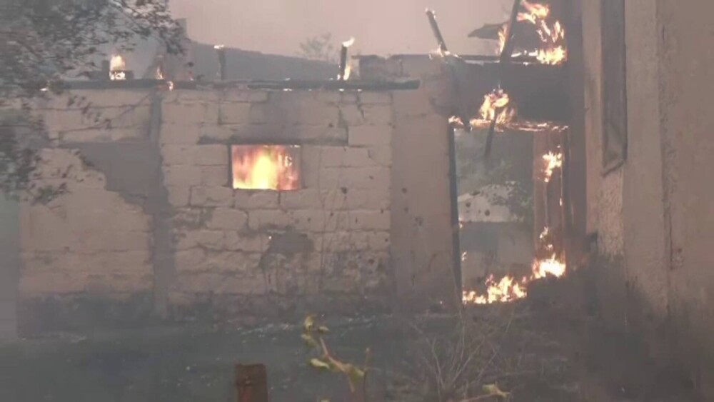 Insula Evia din Grecia, cuprinsă de flăcări uriașe. Sunt cel puțin 55 de focare active. FOTO & VIDEO - Imaginea 3