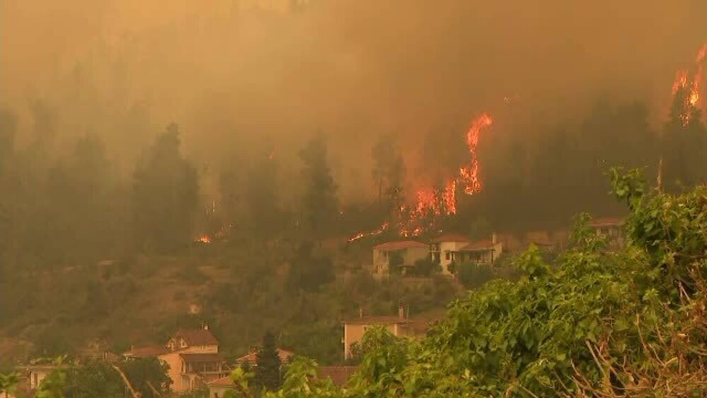 Incendiile se extind cu o viteză incredibilă în Grecia. Plantaţii întregi de măslini au fost distruse - Imaginea 6