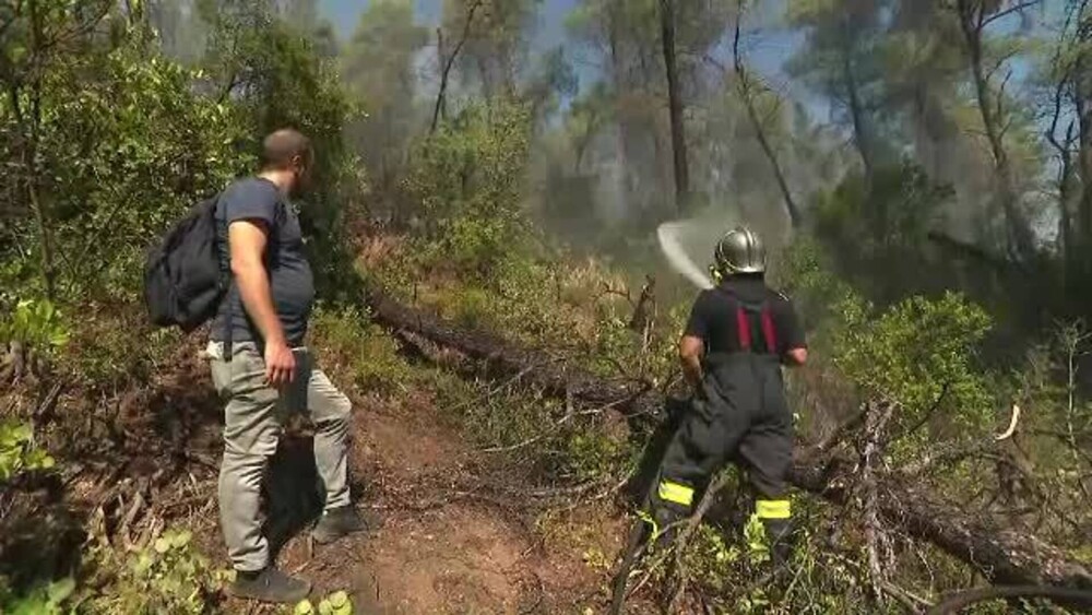 Incendiile se extind cu o viteză incredibilă în Grecia. Plantaţii întregi de măslini au fost distruse - Imaginea 3