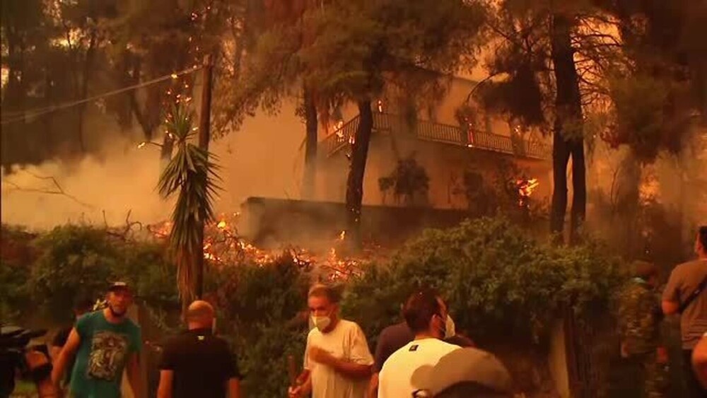 Incendiile se extind cu o viteză incredibilă în Grecia. Plantaţii întregi de măslini au fost distruse - Imaginea 2