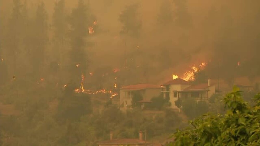 Incendiile se extind cu o viteză incredibilă în Grecia. Plantaţii întregi de măslini au fost distruse - Imaginea 1