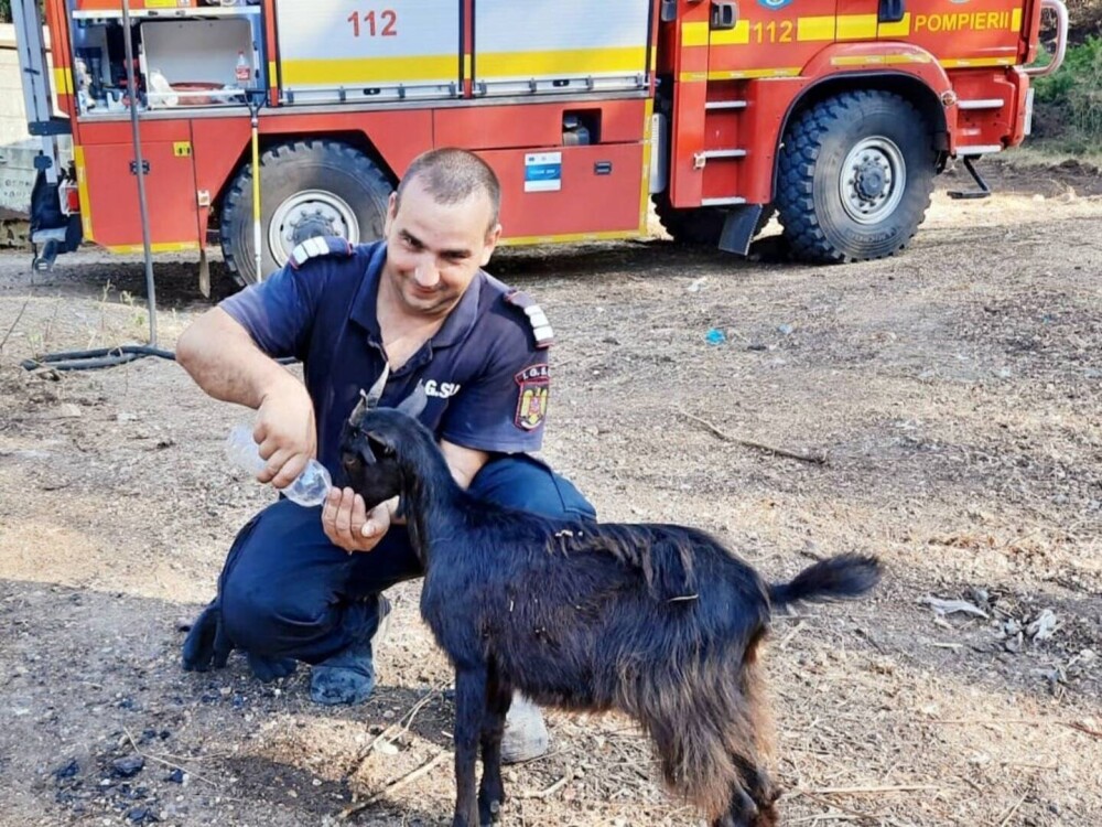 Moment emoționant. Un copil grec le-a dus porumb și plăcinte pompierilor români pentru că i-au protejat satul. GALERIE FOTO - Imaginea 3