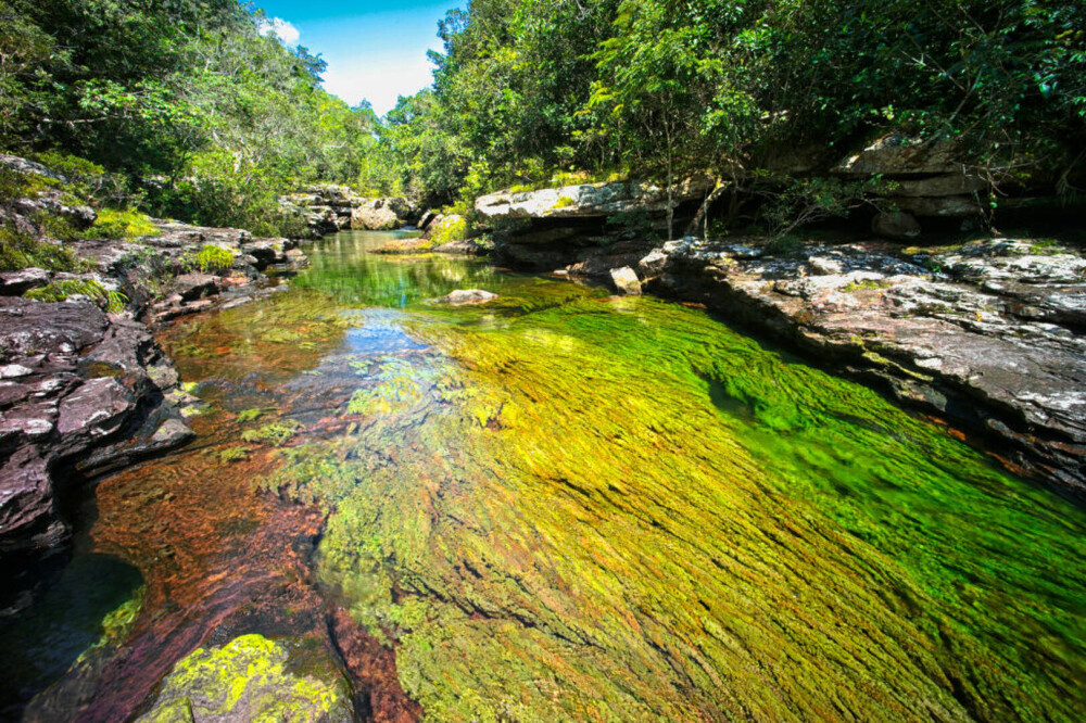 Imagini ireale cu ”Râul celor 5 culori”. Unde se află și de ce are apa colorată GALERIE FOTO - Imaginea 1