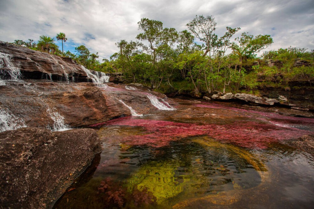 Imagini ireale cu ”Râul celor 5 culori”. Unde se află și de ce are apa colorată GALERIE FOTO - Imaginea 3