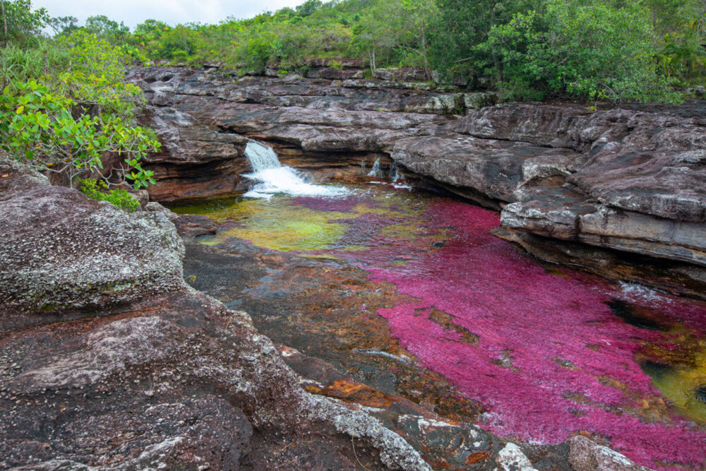 Imagini ireale cu ”Râul celor 5 culori”. Unde se află și de ce are apa colorată GALERIE FOTO - Imaginea 5