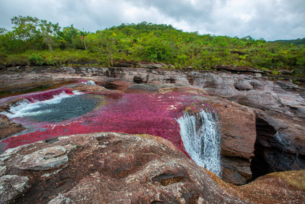 Imagini ireale cu ”Râul celor 5 culori”. Unde se află și de ce are apa colorată GALERIE FOTO - Imaginea 6