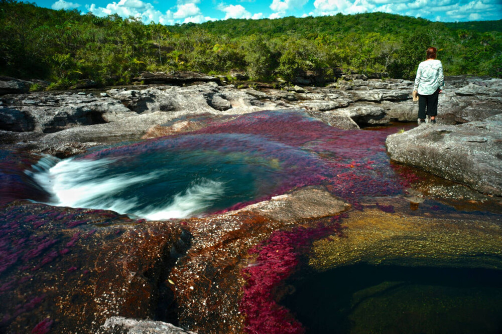 Imagini ireale cu ”Râul celor 5 culori”. Unde se află și de ce are apa colorată GALERIE FOTO - Imaginea 8