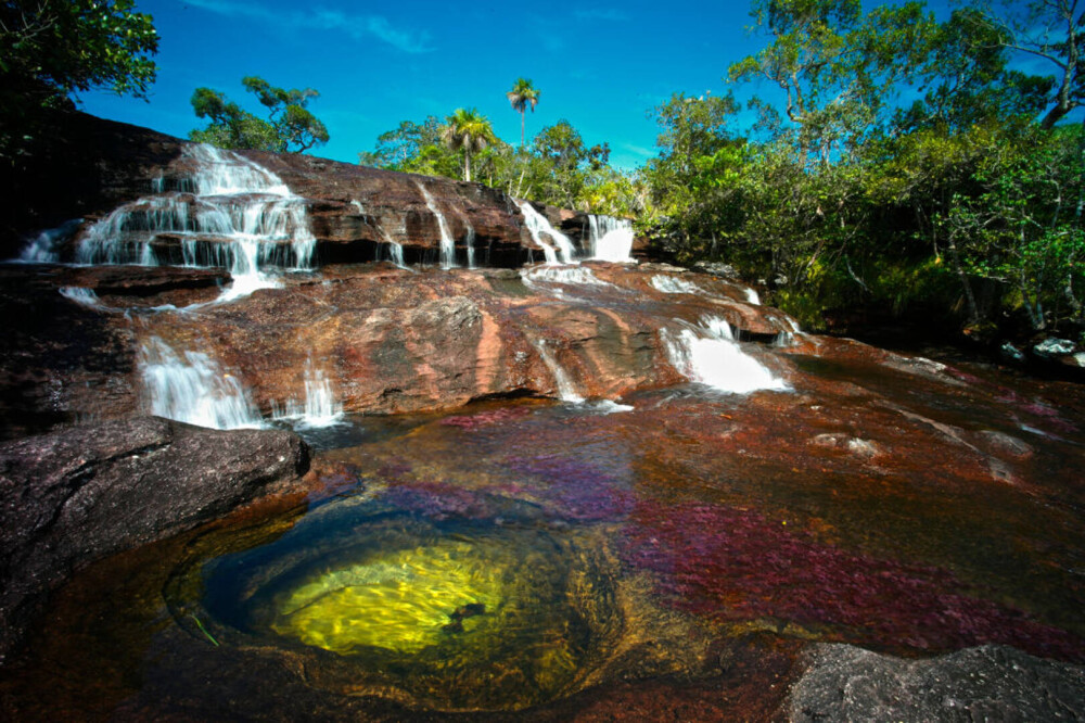 Imagini ireale cu ”Râul celor 5 culori”. Unde se află și de ce are apa colorată GALERIE FOTO - Imaginea 9