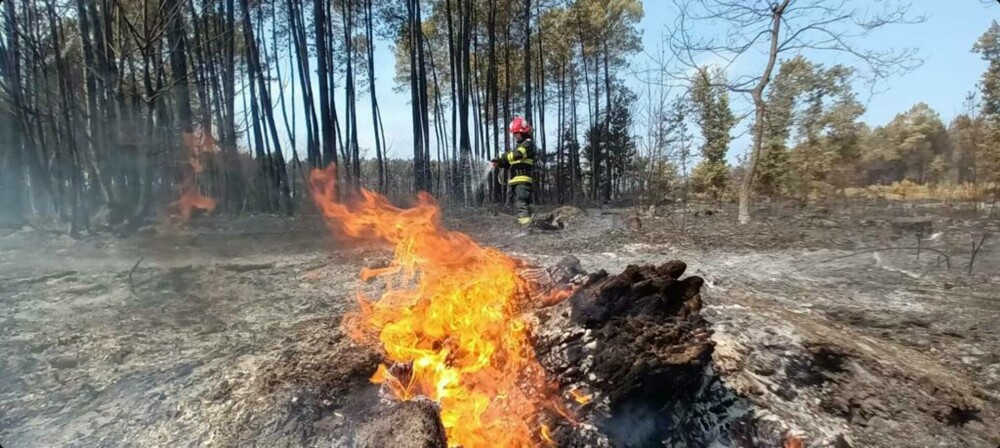 Intervenția a zeci de pompieri români care ajută la stingerea incendiilor de vegetaţie din Franţa | FOTO&VIDEO - Imaginea 6