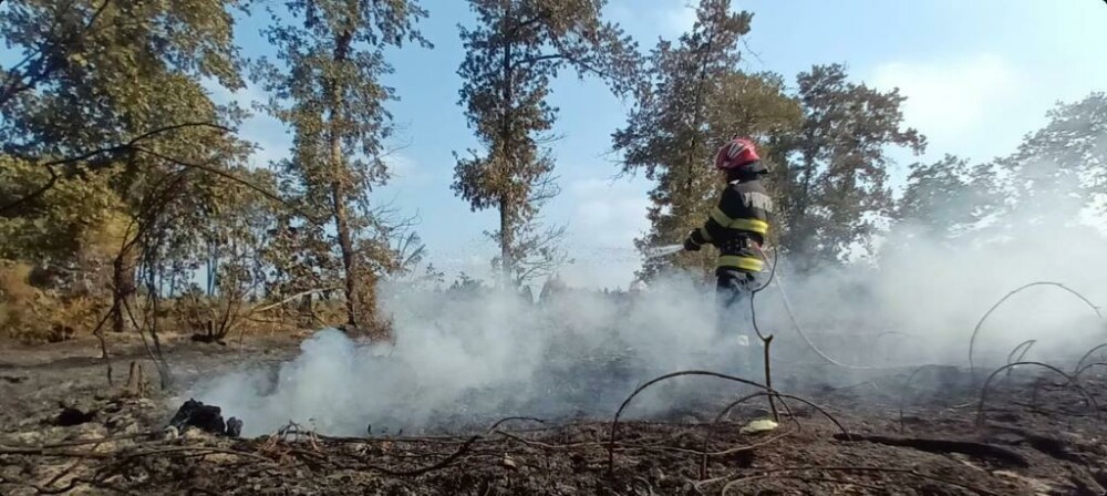 Intervenția a zeci de pompieri români care ajută la stingerea incendiilor de vegetaţie din Franţa | FOTO&VIDEO - Imaginea 2