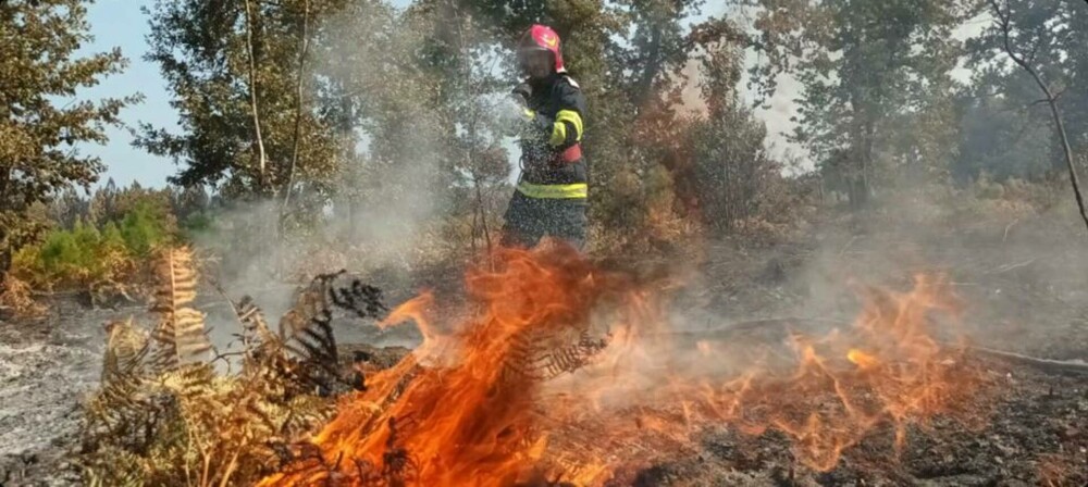 Intervenția a zeci de pompieri români care ajută la stingerea incendiilor de vegetaţie din Franţa | FOTO&VIDEO - Imaginea 1