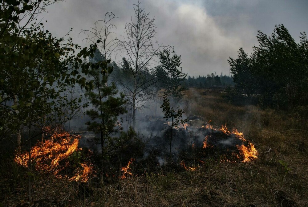Stare de urgență în Rusia din cauza incendiilor. Peste 8.000 de hectare de păduri sunt afectate | GALERIE FOTO - Imaginea 15