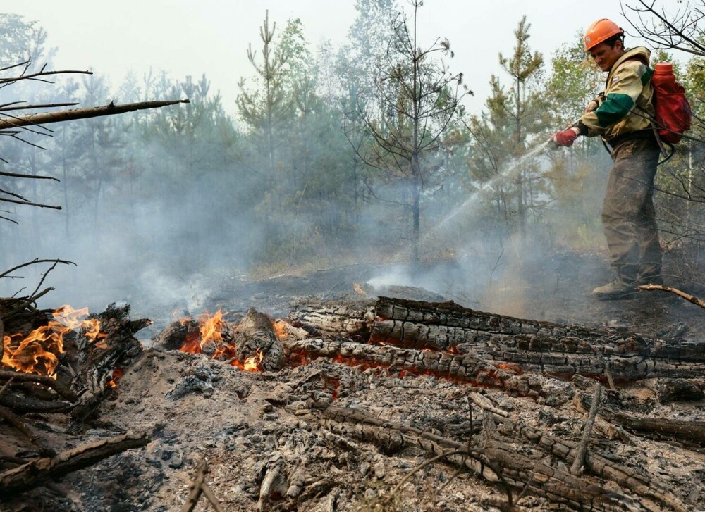 Stare de urgență în Rusia din cauza incendiilor. Peste 8.000 de hectare de păduri sunt afectate | GALERIE FOTO - Imaginea 9