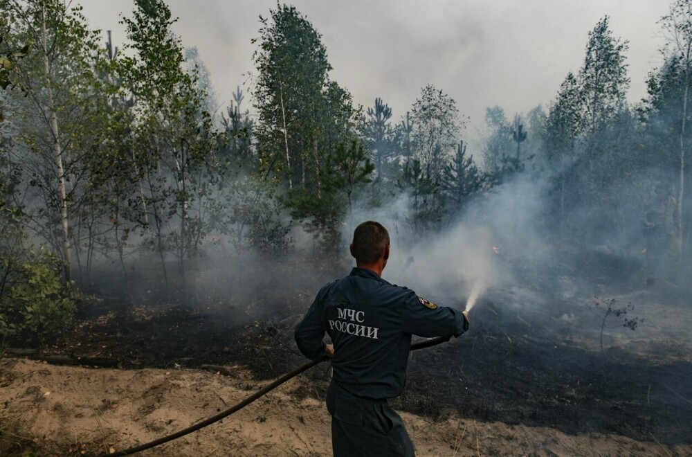 Stare de urgență în Rusia din cauza incendiilor. Peste 8.000 de hectare de păduri sunt afectate | GALERIE FOTO - Imaginea 7