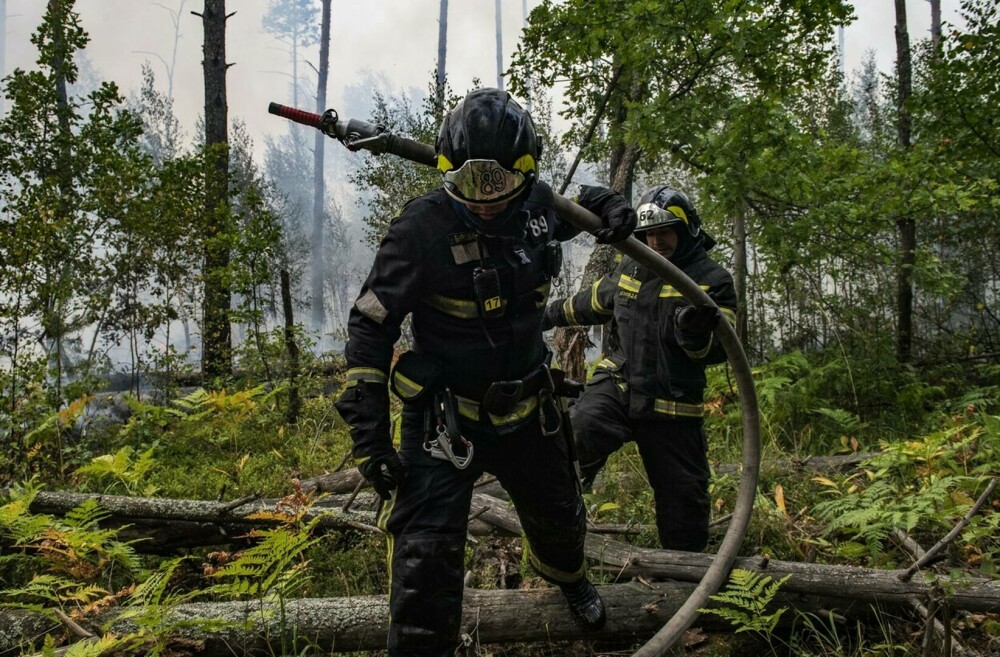 Stare de urgență în Rusia din cauza incendiilor. Peste 8.000 de hectare de păduri sunt afectate | GALERIE FOTO - Imaginea 6