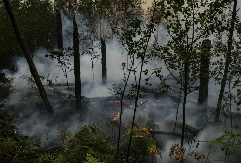 Stare de urgență în Rusia din cauza incendiilor. Peste 8.000 de hectare de păduri sunt afectate | GALERIE FOTO - Imaginea 5