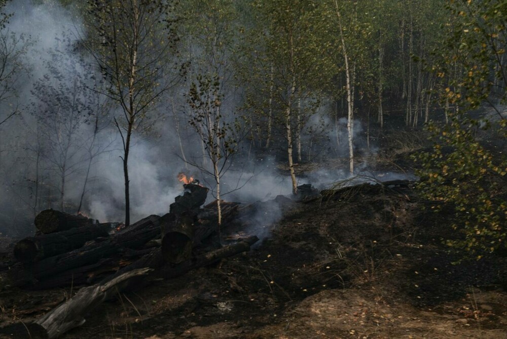 Stare de urgență în Rusia din cauza incendiilor. Peste 8.000 de hectare de păduri sunt afectate | GALERIE FOTO - Imaginea 4