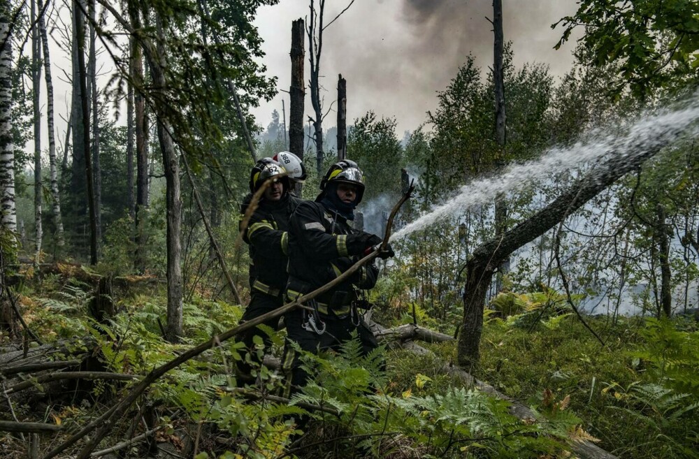 Stare de urgență în Rusia din cauza incendiilor. Peste 8.000 de hectare de păduri sunt afectate | GALERIE FOTO - Imaginea 3