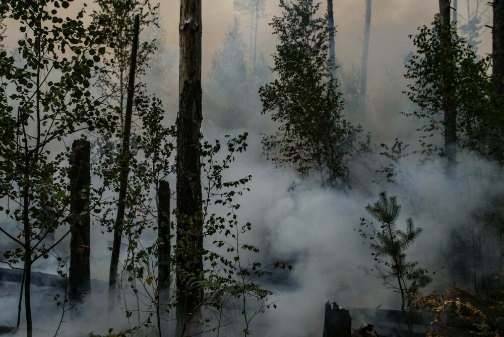 Stare de urgență în Rusia din cauza incendiilor. Peste 8.000 de hectare de păduri sunt afectate | GALERIE FOTO - Imaginea 2