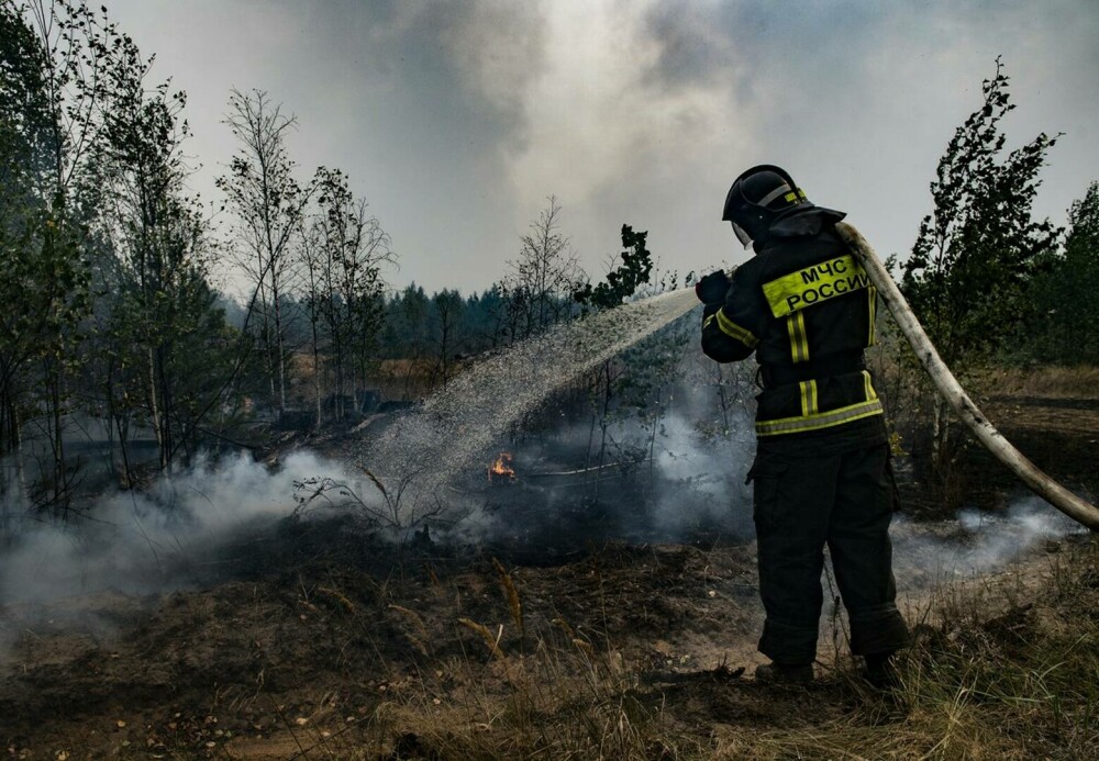 Stare de urgență în Rusia din cauza incendiilor. Peste 8.000 de hectare de păduri sunt afectate | GALERIE FOTO - Imaginea 1