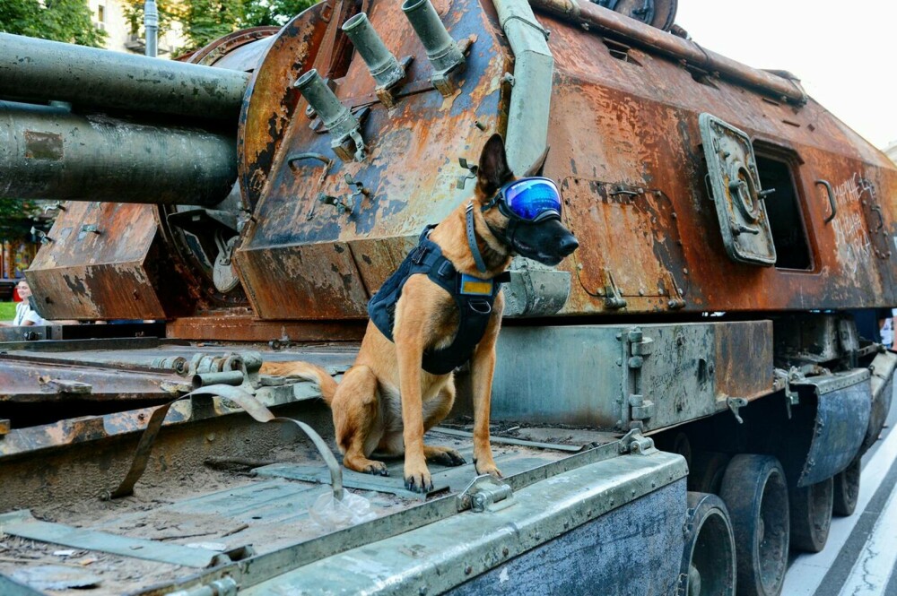 Ziua Independenței Ucrainei, marcată la Kiev printr-o expoziție cu echipament militar rusesc distrus | GALERIE FOTO - Imaginea 14