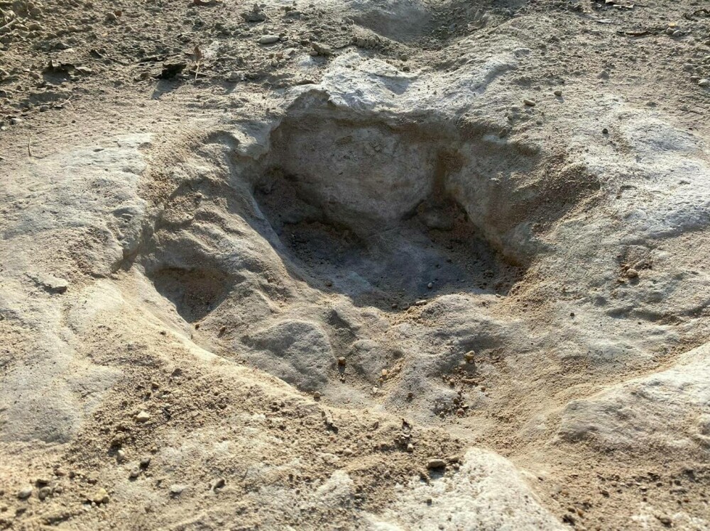 Seceta a scos la iveală urme de dinozaur, vechi de circa 113 milioane de ani. VIDEO ȘI GALERIE FOTO - Imaginea 5