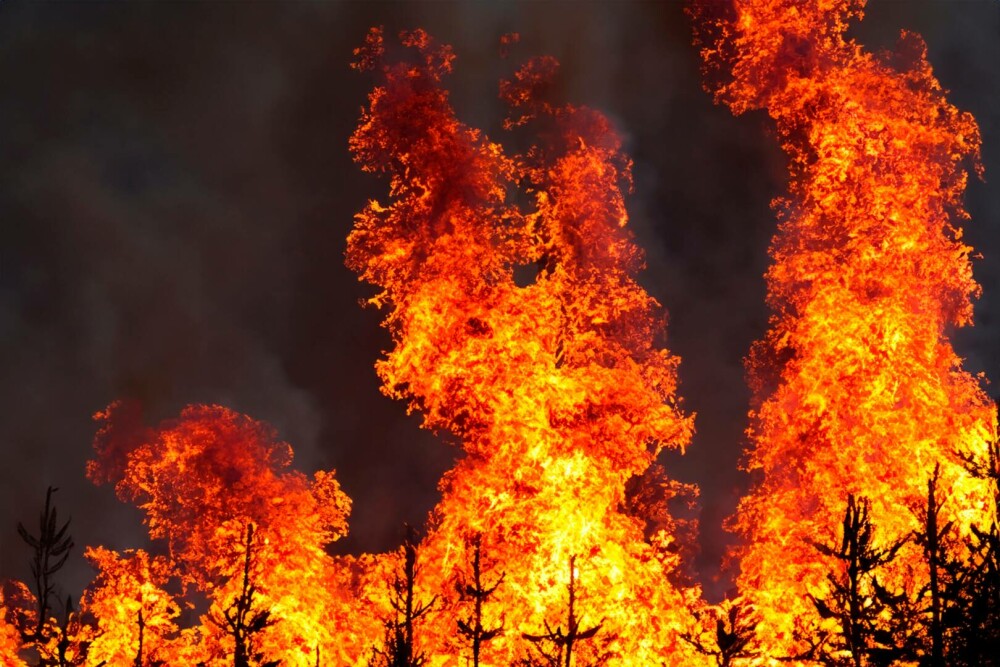 New York Times, reportaj despre incendiile din Grecia. Localnic: Românii sunt niște mașini. Suntem norocoși că sunt aici - Imaginea 30