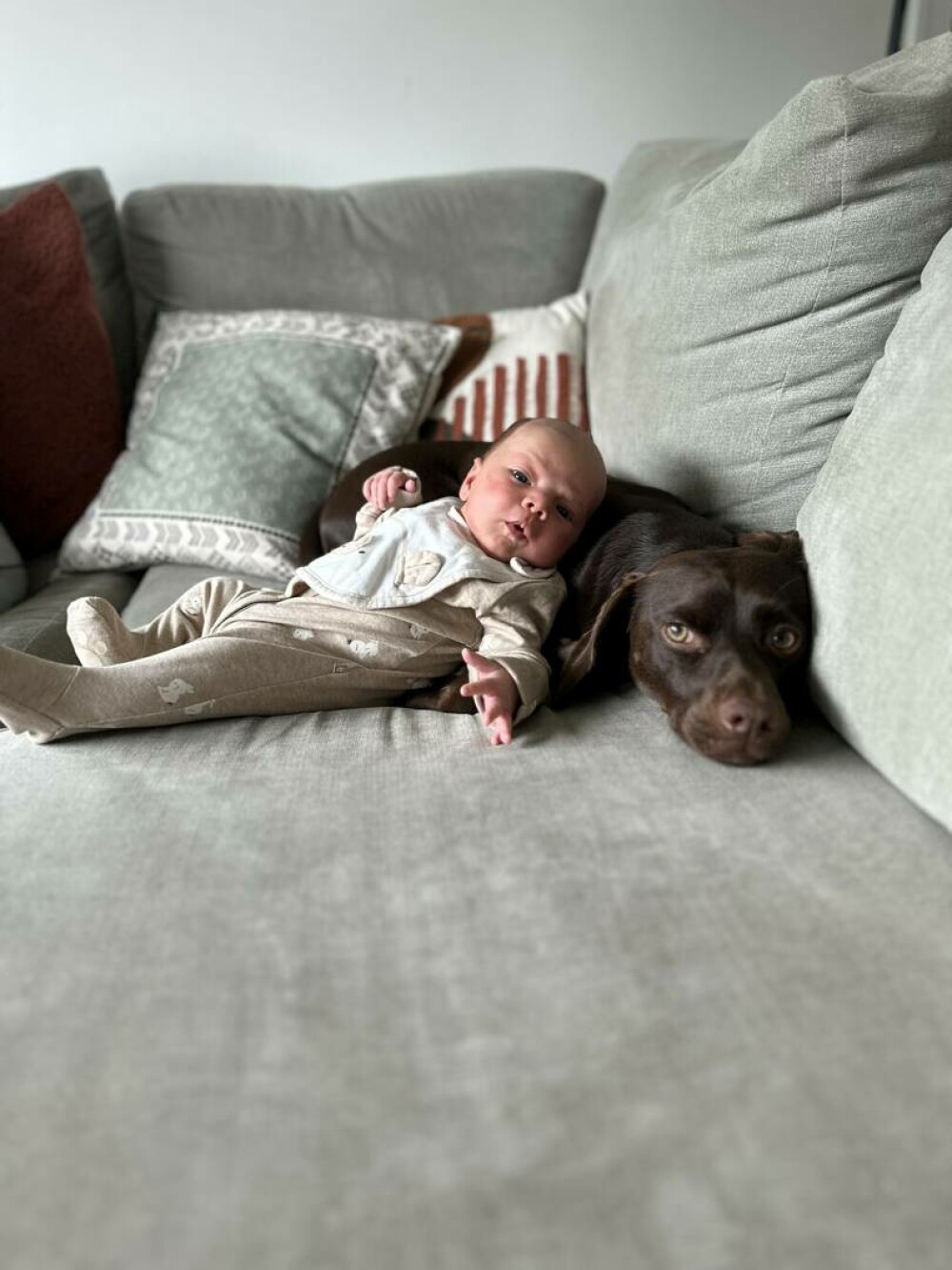 Un cuplu indecis și-a lăsat câinele să aleagă numele copilului lor. Cum a ajuns să-l cheme | GALERIE FOTO - Imaginea 1