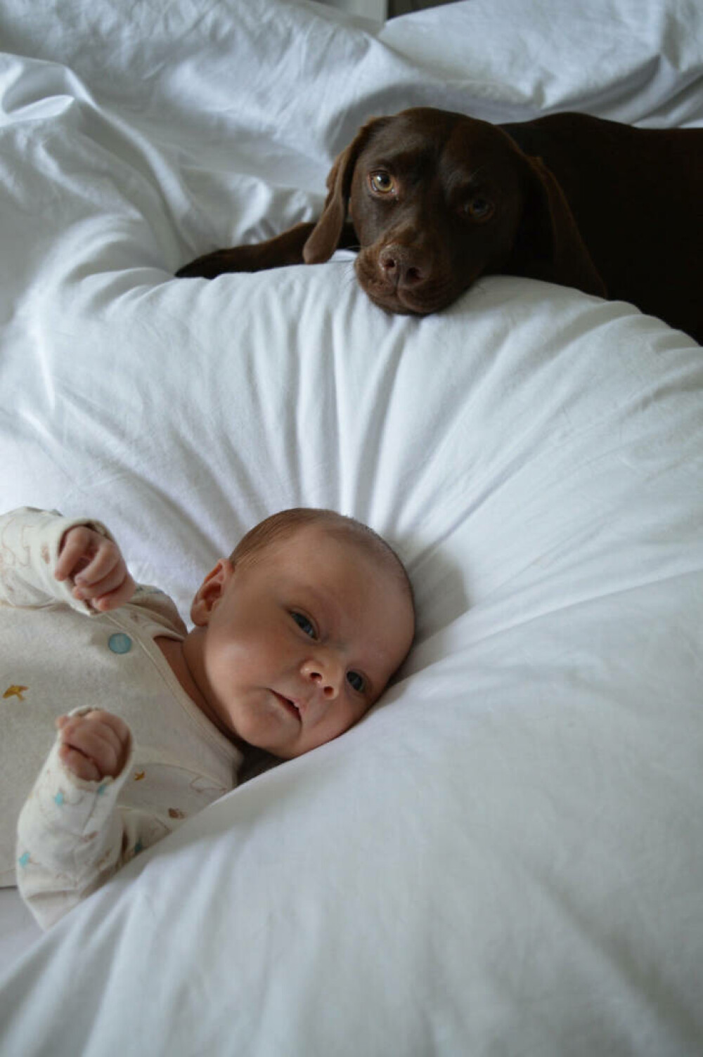 Un cuplu indecis și-a lăsat câinele să aleagă numele copilului lor. Cum a ajuns să-l cheme | GALERIE FOTO - Imaginea 5