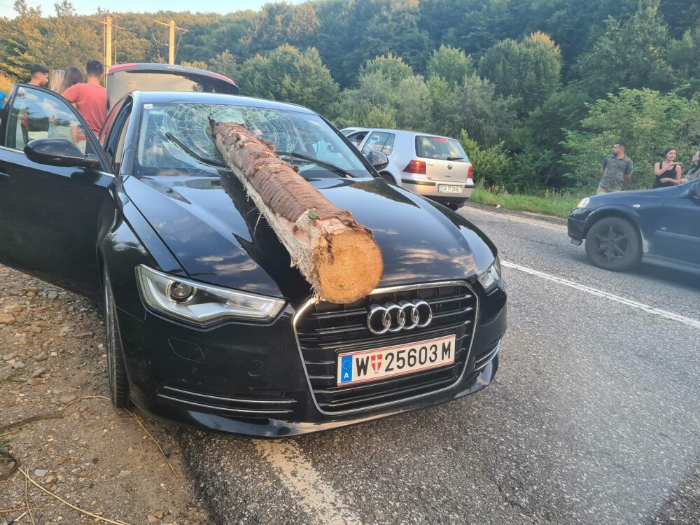 Accident ca în ”Final Destination” în Brașov. Un buștean dintr-un tir a străpuns parbrizul mașinii care circula în spate FOTO - Imaginea 1