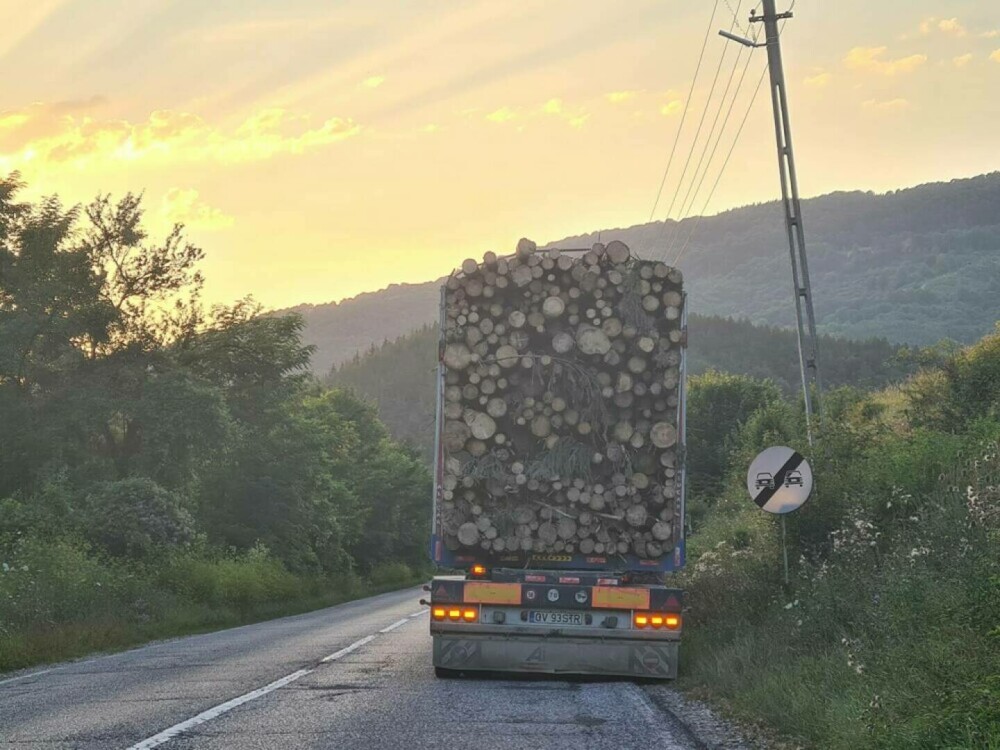 TIR-ul din care a căzut un buştean şi a străpuns o mașină transporta mai mult decât trecuse în acte. Ce sancţiune a primit - Imaginea 2