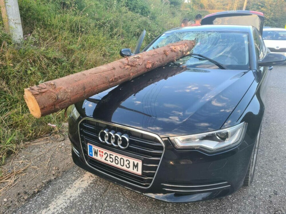 Cine se afla în autoturismul distrus de un buștean căzut dintr-un TIR, în Brașov. Imagini din interiorul mașinii - Imaginea 2