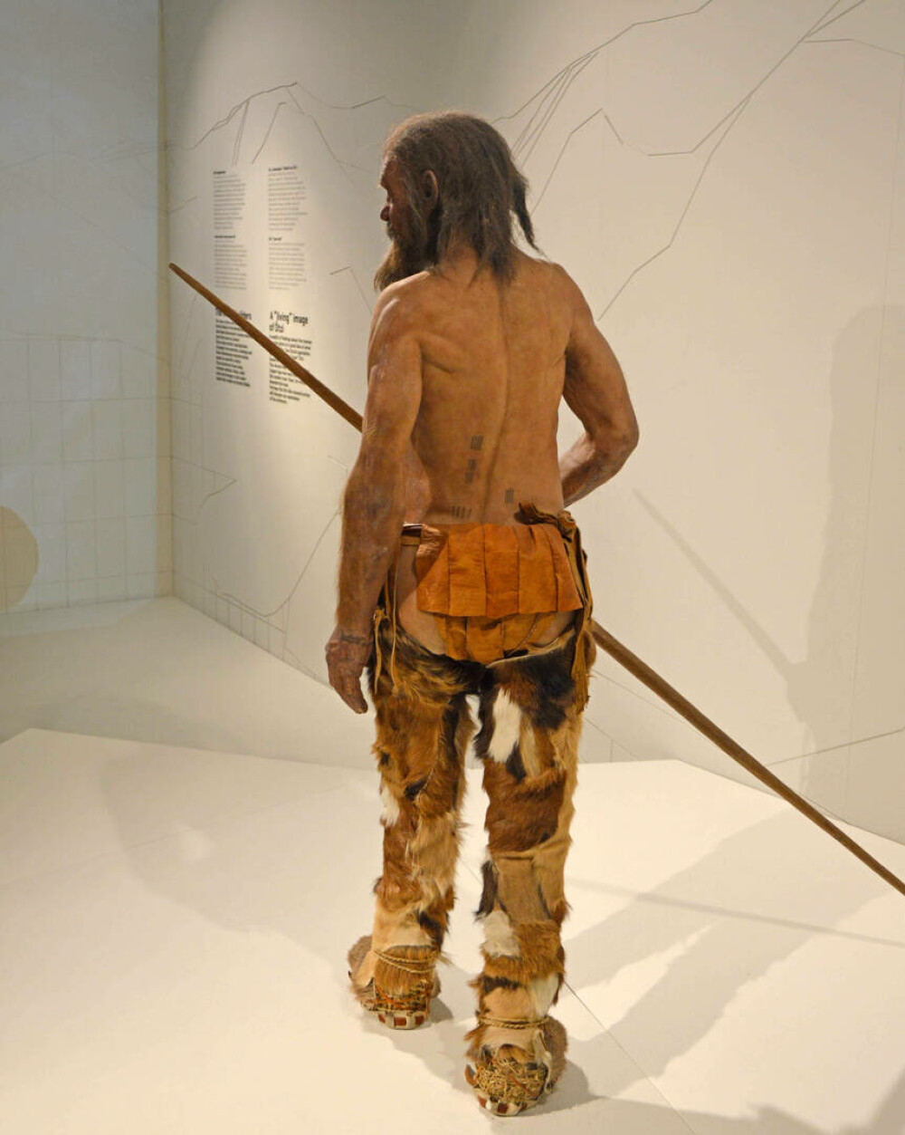 Cum arăta Otzi, ”Omul ghețurilor” de acum 5.000 de ani. ”Am fost foarte surprinși” FOTO - Imaginea 1