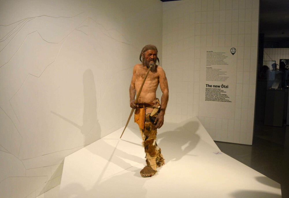 Cum arăta Otzi, ”Omul ghețurilor” de acum 5.000 de ani. ”Am fost foarte surprinși” FOTO - Imaginea 2