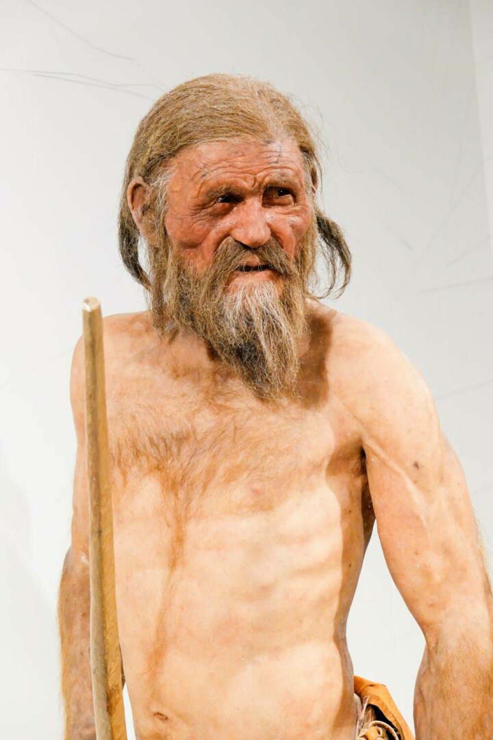 Cum arăta Otzi, ”Omul ghețurilor” de acum 5.000 de ani. ”Am fost foarte surprinși” FOTO - Imaginea 4