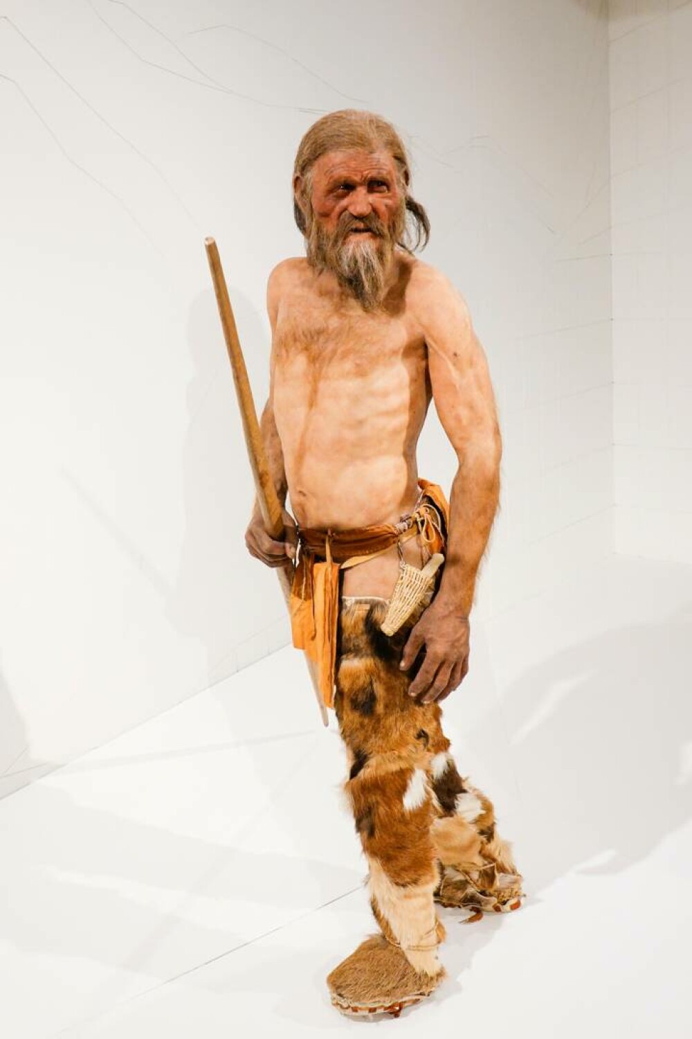 Cum arăta Otzi, ”Omul ghețurilor” de acum 5.000 de ani. ”Am fost foarte surprinși” FOTO - Imaginea 5