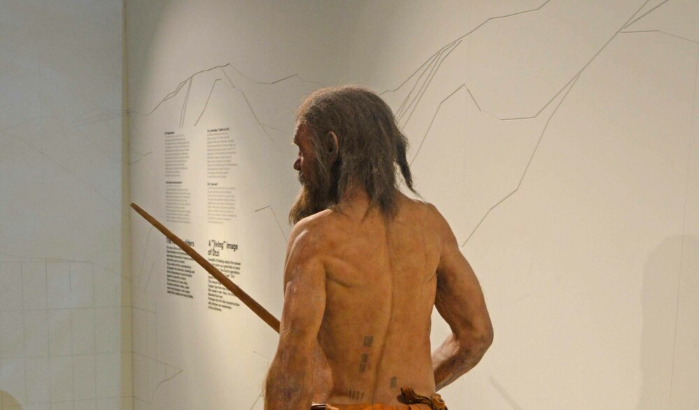 Cum arăta Otzi, ”Omul ghețurilor” de acum 5.000 de ani. ”Am fost foarte surprinși” FOTO - Imaginea 6