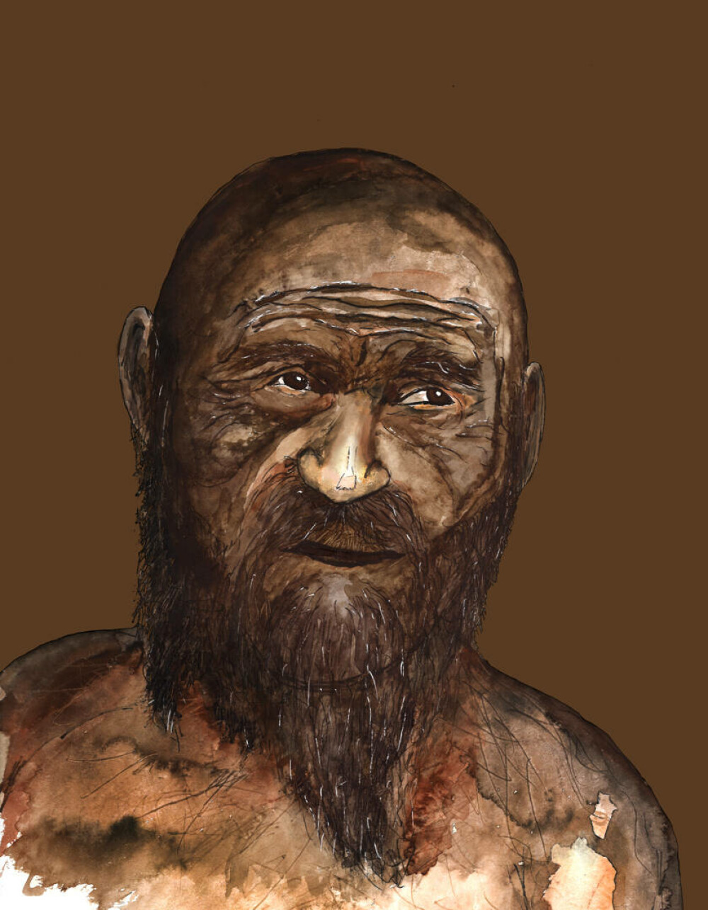 Cum arăta Otzi, ”Omul ghețurilor” de acum 5.000 de ani. ”Am fost foarte surprinși” FOTO - Imaginea 7