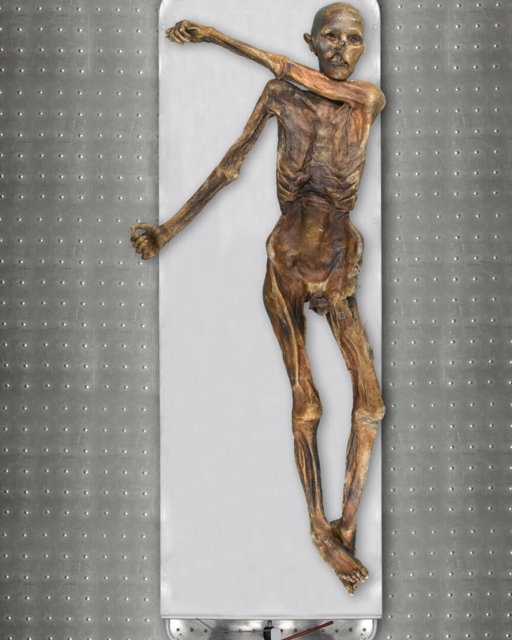Cum arăta Otzi, ”Omul ghețurilor” de acum 5.000 de ani. ”Am fost foarte surprinși” FOTO - Imaginea 8