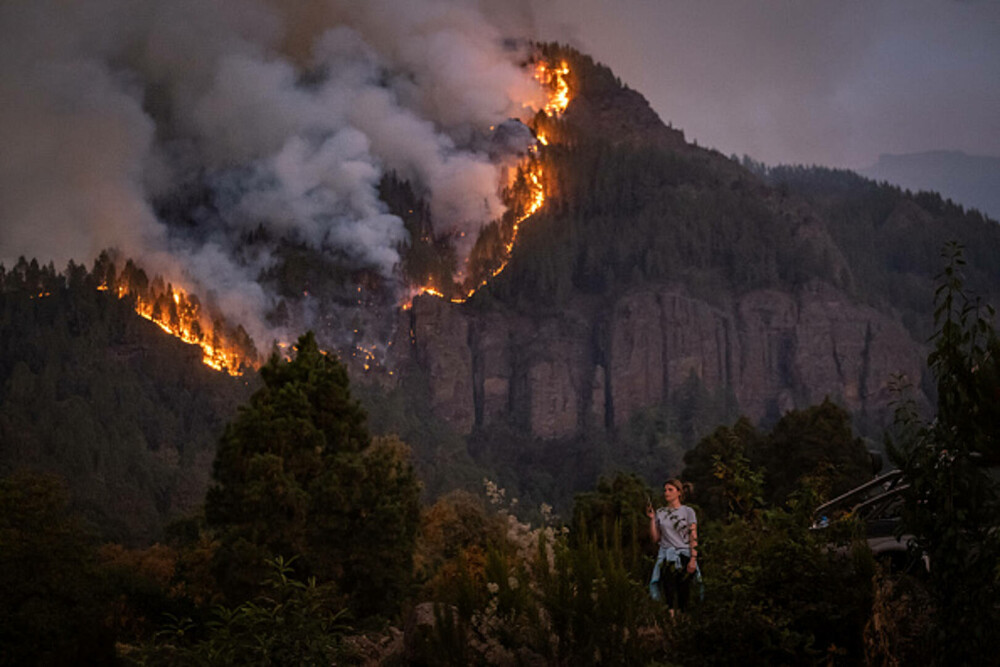 Tenerife este afectată de cele mai grave incendii din ultimii 40 de ani. „Cred că focurile au fost puse intenţionat” - Imaginea 9