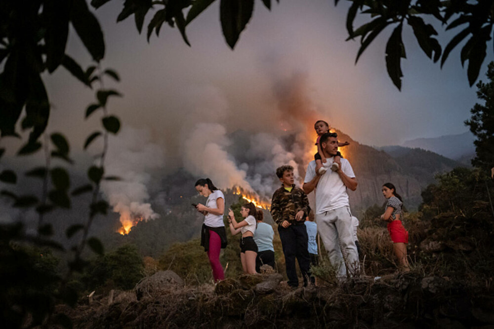 Tenerife este afectată de cele mai grave incendii din ultimii 40 de ani. „Cred că focurile au fost puse intenţionat” - Imaginea 10
