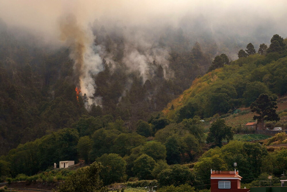 Zeci de mii de persoane au fost evacuate din Tenerife, unde un incendiu de vegetaţie a scăpat de sub control - Imaginea 2