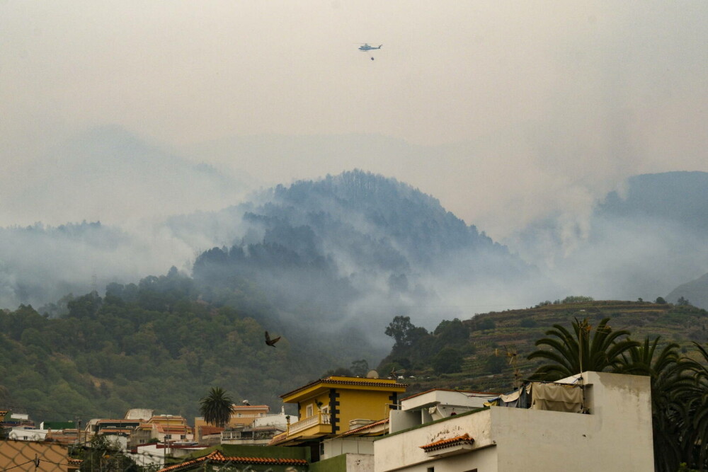 Zeci de mii de persoane au fost evacuate din Tenerife, unde un incendiu de vegetaţie a scăpat de sub control - Imaginea 6