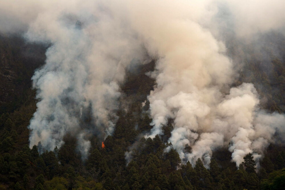 Zeci de mii de persoane au fost evacuate din Tenerife, unde un incendiu de vegetaţie a scăpat de sub control - Imaginea 7