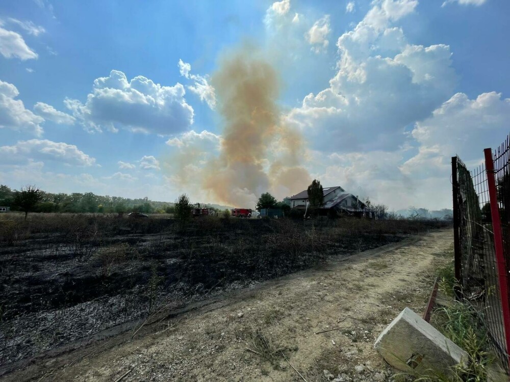 Incendiu de proporții lângă Pădurea Băneasa. Oamenii din zonă au sărit să ajute pompierii - Imaginea 2
