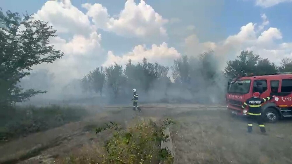 Incendiu de proporții lângă Pădurea Băneasa. Oamenii din zonă au sărit să ajute pompierii - Imaginea 3