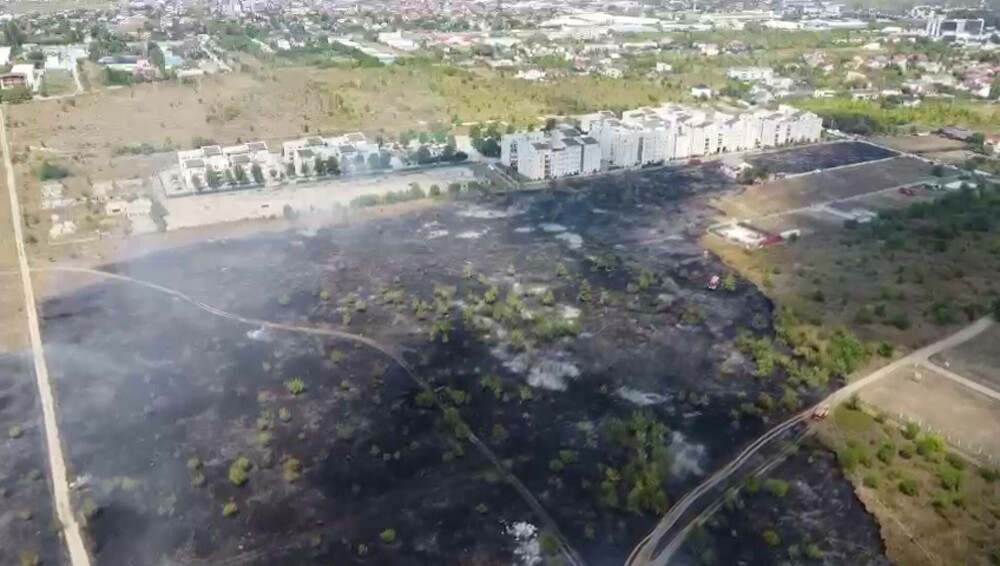Incendiu de proporții lângă Pădurea Băneasa. Oamenii din zonă au sărit să ajute pompierii - Imaginea 4
