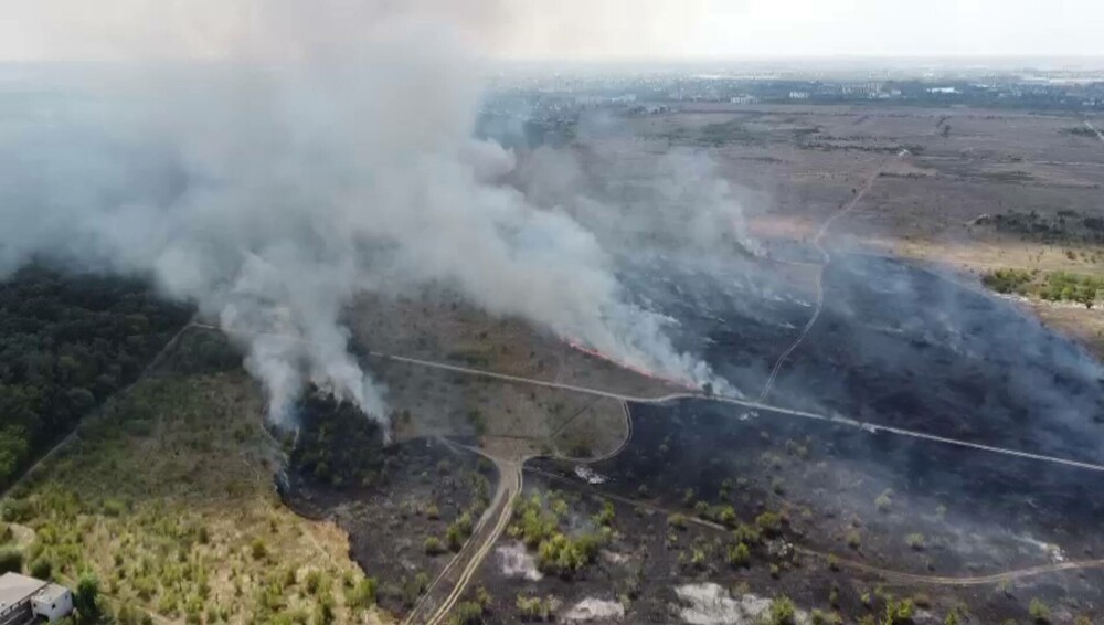 Incendiu de proporții lângă Pădurea Băneasa. Oamenii din zonă au sărit să ajute pompierii - Imaginea 5